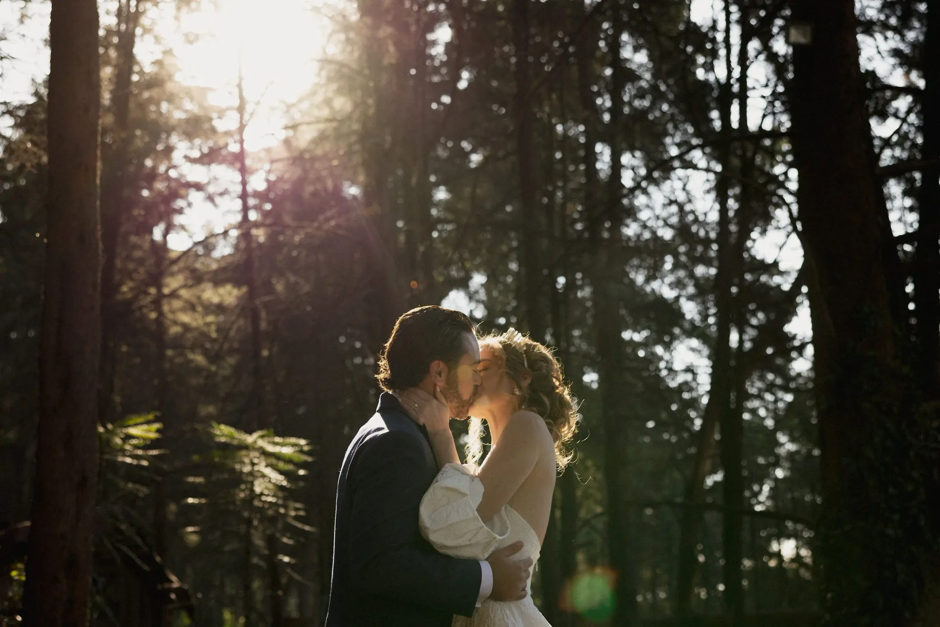 Sunlit portrait of a wedding couple