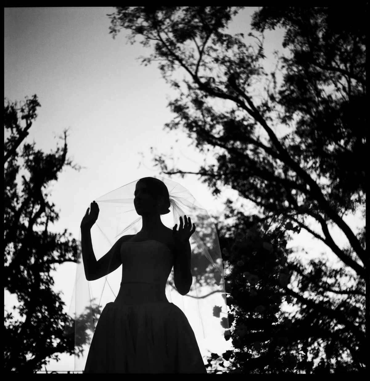Cinematic silhouette of a wedding couple